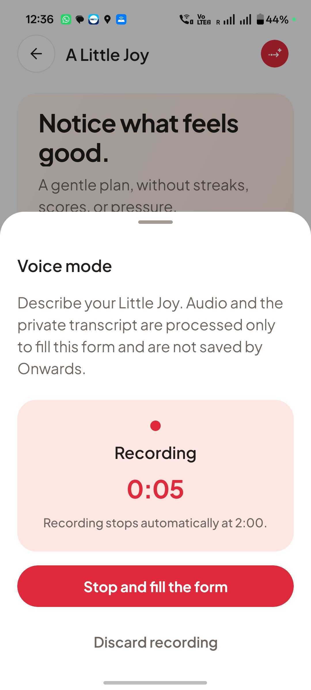 Voice AI recording a spoken Little Joy and privately preparing it for the form